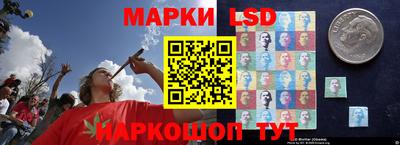 гидропоника Апшеронск
